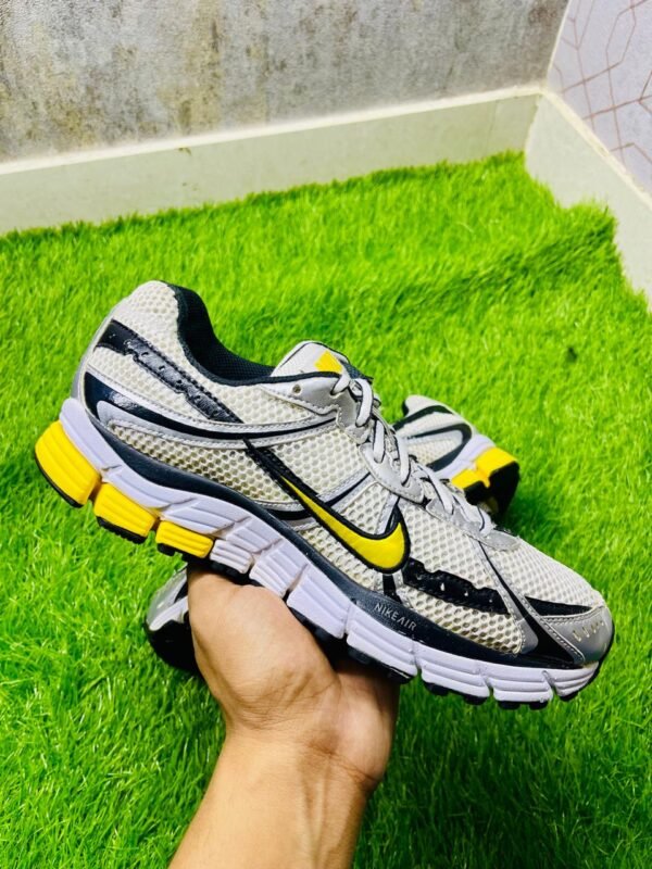 Nike Air Pegasus 25 running